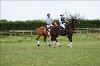 UKPA  NC Sat_1155